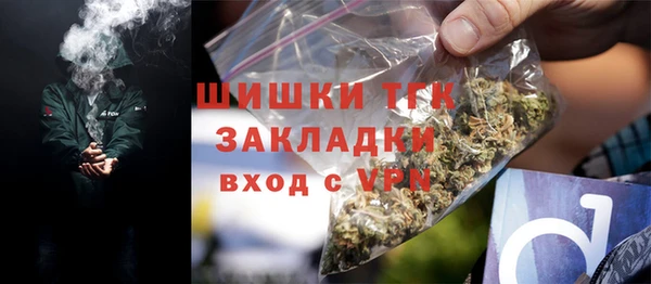 стаф Пересвет