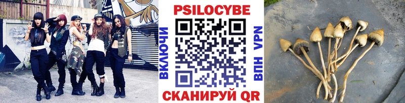 mega рабочий сайт  где продают   Красновишерск  Галлюциногенные грибы MAGIC MUSHROOMS 